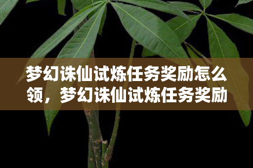 梦幻诛仙试炼任务奖励怎么领，梦幻诛仙试炼任务奖励详解