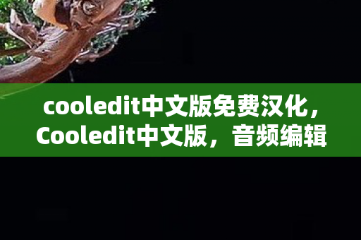 cooledit中文版免费汉化,Cooledit中文版,音频编辑的得力助手 cooledit中文版免费汉化,Cooledit中文版,音频编辑的得力助手