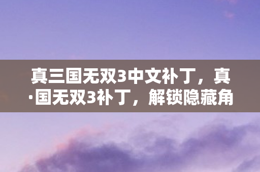 真三国无双3中文补丁,真·国无双3补丁,解锁隐藏角色与技能,打造个性化游戏体验 真三国无双3中文补丁,真·国无双3补丁,解锁隐藏角色与技能,打造个性化游戏体验
