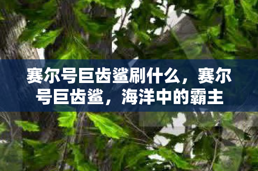 赛尔号巨齿鲨刷什么，赛尔号巨齿鲨，海洋中的霸主
