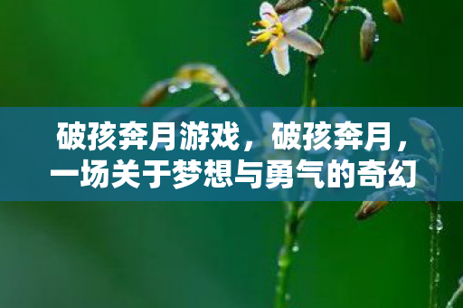 破孩奔月游戏，破孩奔月，一场关于梦想与勇气的奇幻之旅