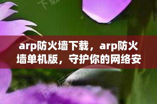 arp防火墙下载，arp防火墙单机版，守护你的网络安全