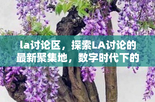 la讨论区，探索LA讨论的最新聚集地，数字时代下的社交新风尚