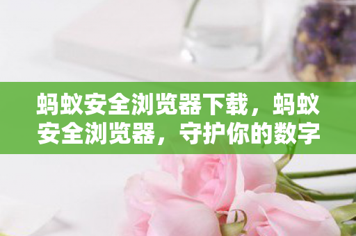 蚂蚁安全浏览器下载，蚂蚁安全浏览器，守护你的数字生活