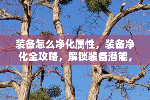 装备怎么净化属性,装备净化全攻略,解锁装备潜能,提升战斗实力 装备怎么净化属性,装备净化全攻略,解锁装备潜能,提升战斗实力