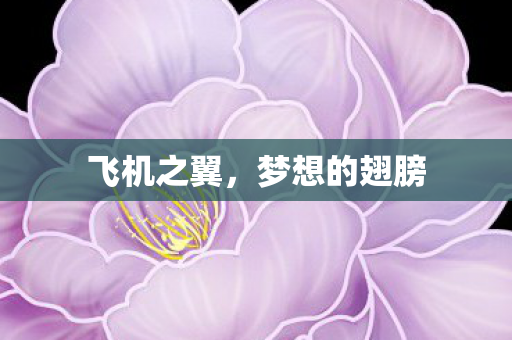 飞机之翼,梦想的翅膀 飞机之翼,梦想的翅膀