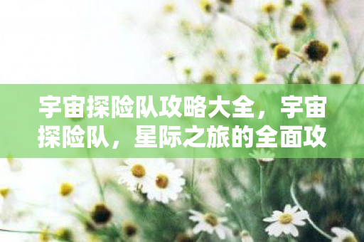 宇宙探险队攻略大全,宇宙探险队,星际之旅的全面攻略 宇宙探险队攻略大全,宇宙探险队,星际之旅的全面攻略