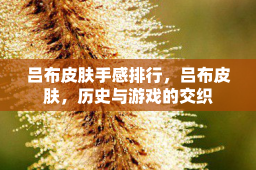 吕布皮肤手感排行图片