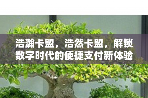 浩瀚卡盟，浩然卡盟，解锁数字时代的便捷支付新体验
