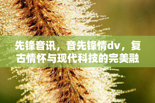 先锋音讯,音先锋情dv,复古情怀与现代科技的完美融合 先锋音讯,音先锋情dv,复古情怀与现代科技的完美融合