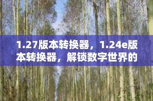 1.27版本转换器，1.24e版本转换器，解锁数字世界的神秘钥匙