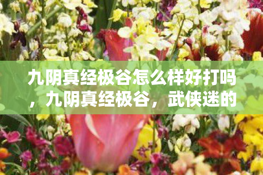 九阴真经极谷怎么样好打吗,九阴真经极谷,武侠迷的修炼圣地 九阴真经极谷怎么样好打吗,九阴真经极谷,武侠迷的修炼圣地