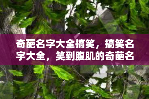 奇葩名字大全搞笑，搞笑名字大全，笑到腹肌的奇葩名字