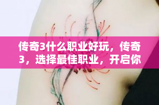 传奇3什么职业好玩,传奇3,选择最佳职业,开启你的传奇之旅 传奇3什么职业好玩,传奇3,选择最佳职业,开启你的传奇之旅