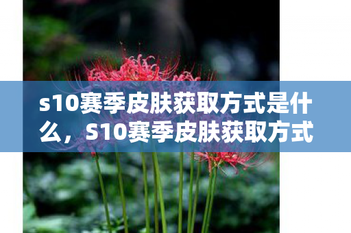 s10赛季皮肤获取方式是什么，S10赛季皮肤获取方式详解