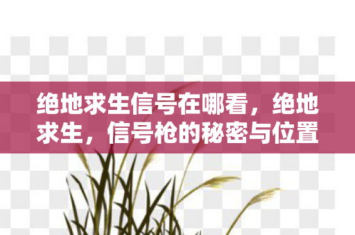 绝地求生信号在哪看,绝地求生,信号枪的秘密与位置解析 绝地求生信号在哪看,绝地求生,信号枪的秘密与位置解析