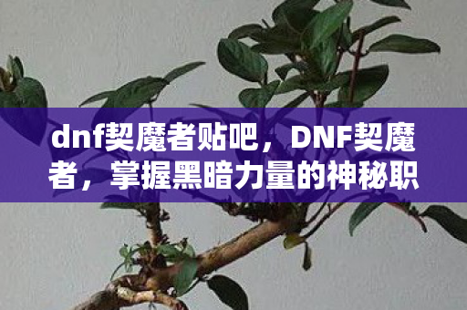 dnf契魔者贴吧，DNF契魔者，掌握黑暗力量的神秘职业
