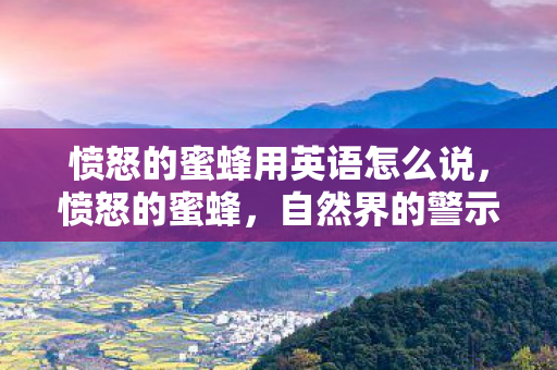 愤怒的蜜蜂用英语怎么说，愤怒的蜜蜂，自然界的警示与启示