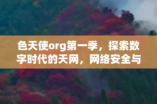 色天使org第一季，探索数字时代的天网，网络安全与隐私保护的新篇章