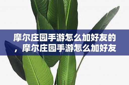 摩尔庄园手游怎么加好友的,摩尔庄园手游怎么加好友 摩尔庄园手游怎么加好友的,摩尔庄园手游怎么加好友