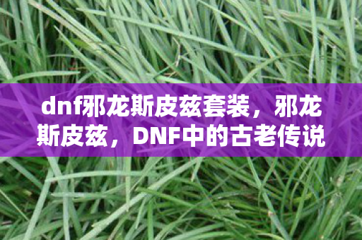 dnf邪龙斯皮兹套装，邪龙斯皮兹，DNF中的古老传说