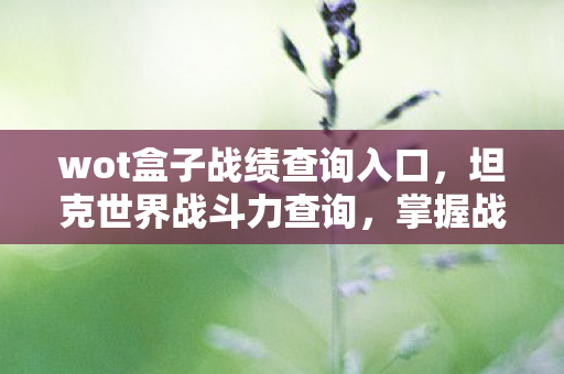 wot盒子战绩查询入口，坦克世界战斗力查询，掌握战场主动权的关键