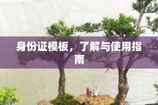 身份证模板，了解与使用指南
