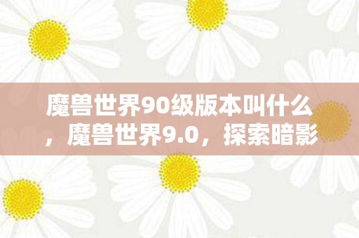 魔兽世界90级版本叫什么，魔兽世界9.0，探索暗影界的奇幻之旅