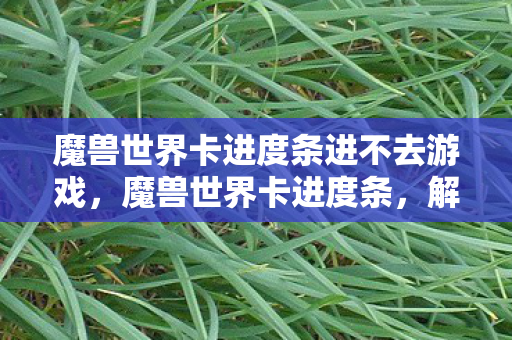 魔兽世界卡进度条进不去游戏，魔兽世界卡进度条，解锁游戏流畅体验的全面指南