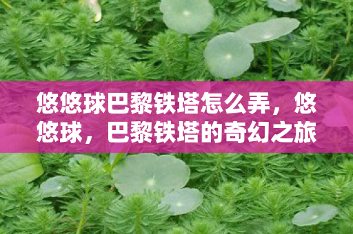 悠悠球巴黎铁塔怎么弄，悠悠球，巴黎铁塔的奇幻之旅