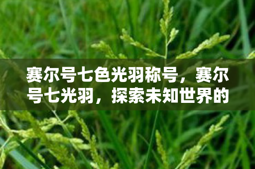 赛尔号七色光羽称号,赛尔号七光羽,探索未知世界的奇幻之旅 赛尔号七色光羽称号,赛尔号七光羽,探索未知世界的奇幻之旅