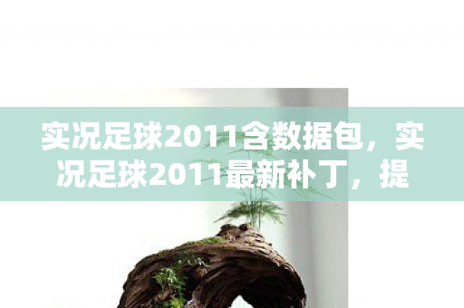 实况足球2011含数据包，实况足球2011最新补丁，提升游戏体验，修复常见问题