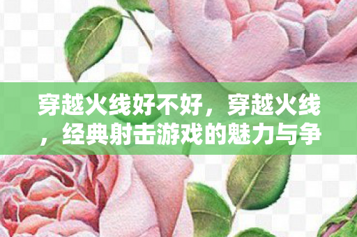 经典射击游戏的魅力与争议图片