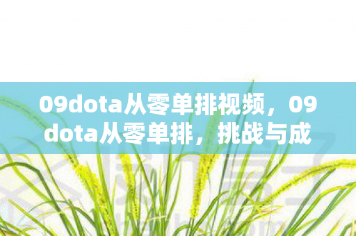 09dota从零单排视频，09dota从零单排，挑战与成长并存的旅程