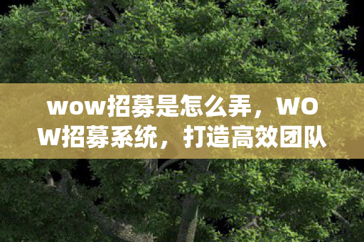 wow招募是怎么弄，WOW招募系统，打造高效团队，开启冒险之旅