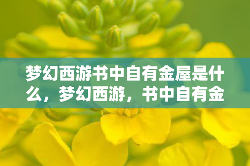 梦幻西游书中自有金屋是什么,梦幻西游,书中自有金屋 梦幻西游书中自有金屋是什么,梦幻西游,书中自有金屋
