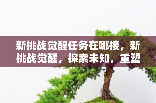 新挑战觉醒任务在哪接，新挑战觉醒，探索未知，重塑自我