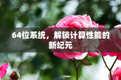 64位系统，解锁计算性能的新纪元