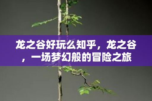 龙之谷好玩么知乎，龙之谷，一场梦幻般的冒险之旅