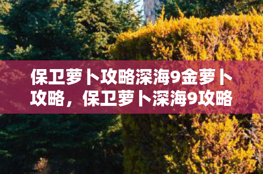 保卫萝卜深海9攻略金萝卜布阵图图片
