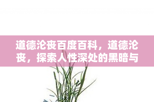 道德沦丧百度百科，道德沦丧，探索人性深处的黑暗与救赎