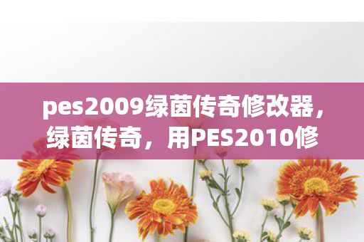 pes2009绿茵传奇修改器，绿茵传奇，用PES2010修改器打造你的足球梦