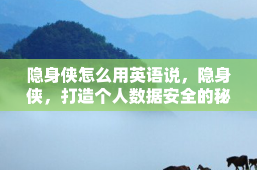 隐身侠怎么用英语说，隐身侠，打造个人数据安全的秘密武器