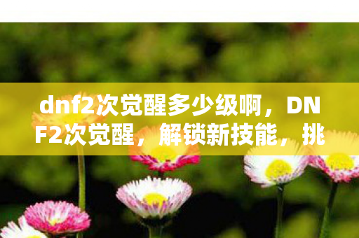 dnf2次觉醒多少级啊，DNF2次觉醒，解锁新技能，挑战更高难度