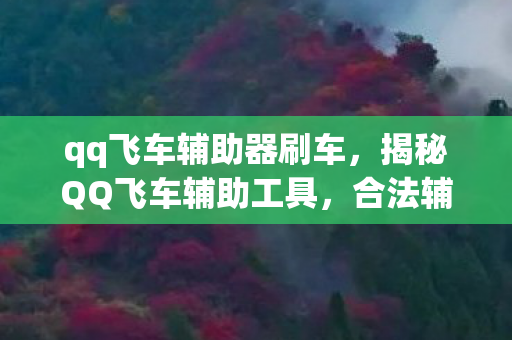 合法辅助与非法脚本的界限图片