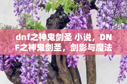 dnf之神鬼剑圣 小说图片