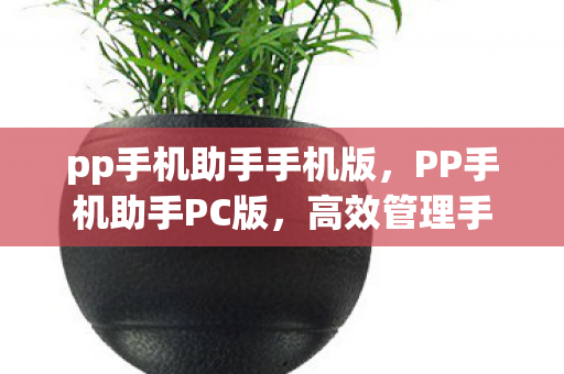 高效管理手机内容的新选择图片