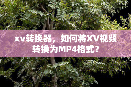 xv转换器，如何将XV视频转换为MP4格式？