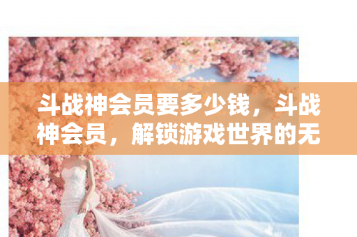 斗战神会员要多少钱，斗战神会员，解锁游戏世界的无限可能
