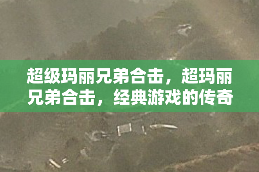 超级玛丽兄弟合击,超玛丽兄弟合击,经典游戏的传奇再现 超级玛丽兄弟合击,超玛丽兄弟合击,经典游戏的传奇再现